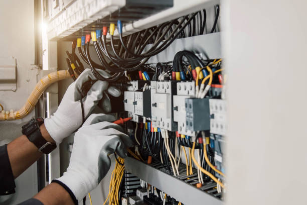 Best Electrical System Inspection  in Fanning Springs, FL